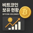 비트코인 적립식 투자 후기