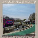 영동문화원 | 2026 양재천 벚꽃축제 일정 실황 서초뮤직페스티벌·양재천 벚꽃길·체험존