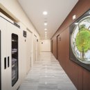 부평그린마취통증의학과의원 이미지