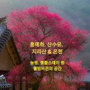 남원지리산공인중개사사무소 | 안정된 최고 수익보장 구례 임야 반값 투자자모집 지리산. 화엄사 (다용도 개발가능)