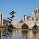 이민경 행정사 사무소 이미지