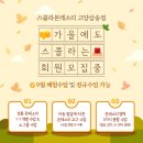 스콜라몬테소리고양 이미지
