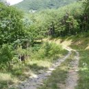 대화농장 이미지