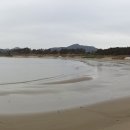 첫구지해수욕장 Daum카페