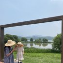 더우드(3종)