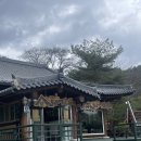 봉평메밀꽃향기 | 봉평 메밀꽃향기 메밀막국수맛집 아이랑 골동면 솔직후기 평창 휘닉스파크 맛집