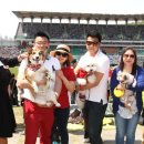 데일리도그 이미지