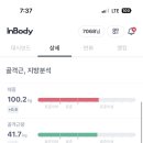 [운동] #1. 다이어트 한달후기 :: 크로스핏 후기