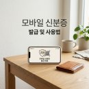 부평3동주민센터(민원실) | 모바일 신분증 발급방법 및 효력: 주민등록증 운전면허증 IC칩 차이점 총정리