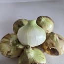 광평농장 이미지