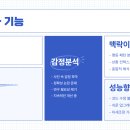 리텍스트