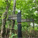 지리산 노고단 반야봉 삼도봉 묘향암 이끼폭포 뱀사골 이미지