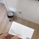 선경양 | [언주역] 마이오헤어 역삼점 : 마이오헤어선경쌤 커트컨설팅 후기, 웨딩 전 헤어 방향 찾기 (마이오헤어...