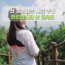 가벼운 산행 등산복 반팔 여행룩 추천 브로이스터 산 티셔츠 봄 등산복장
