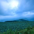 여명공원 이미지