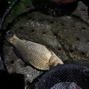 호텔나인스톤 이미지