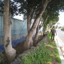 남원읍-3 이미지