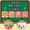 대실역남로4길 이미지