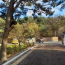 대부도 산림욕장 화장실 이미지