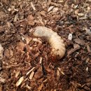 채연농장 이미지