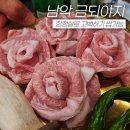 금되야지 이미지