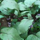 다우림어린이집 이미지