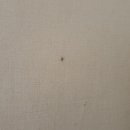 봉성축산 이미지