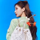 양지싱크