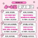 2025 6월 시티투어 이미지