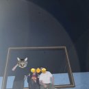 엘티소재(주) 이미지