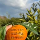 상가리농장 이미지