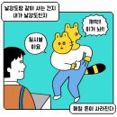 카드값이 월급보다 많이 나와도 되는걸까... 11월 정산
