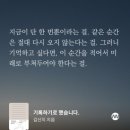 영차영차 이미지
