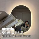 신과성신을위한의자 | 안양 범계 두피관리 '모애르두피탈모' | 유수분 밸런싱 (60분) +할인 이벤트!