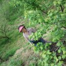 원영농장 이미지