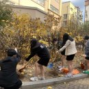 봉명고등학교 이미지