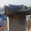 자암 김구비 이미지