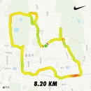 댕댕마실 | 뉴발란스 북촌 런 허브점 &amp; 댕댕런 후기