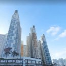 시티메디칼 | 주는 위로 배곧신도시 아파트 단지 임장 후기, 바이오 메디컬 시티로의 변화와 서울대병원 착공, 경제...