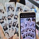 루우루우 이미지