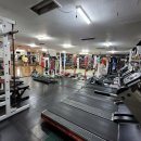 달서권투 이미지