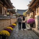 이안숲속농어촌관광농원 | 10월 경북 가을꽃 여행! 개미취부터 코스모스까지, 꽃으로 물드는 계절의 길을 걷다