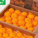 성숙농장 이미지