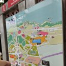 오키나와 츄라우미 수족관 티켓, 고래상어 밥주기, 돌고래쇼 영업시간 및 후기