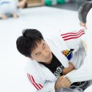 BD 주짓수 이미지