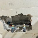 다숲세탁 이미지