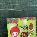 당하리농장 네이버블로그