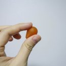 문 휘트니스 이미지