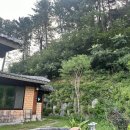 에어비앤비로 찾은 양평편백황토방