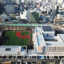 광주수창초등학교 이미지